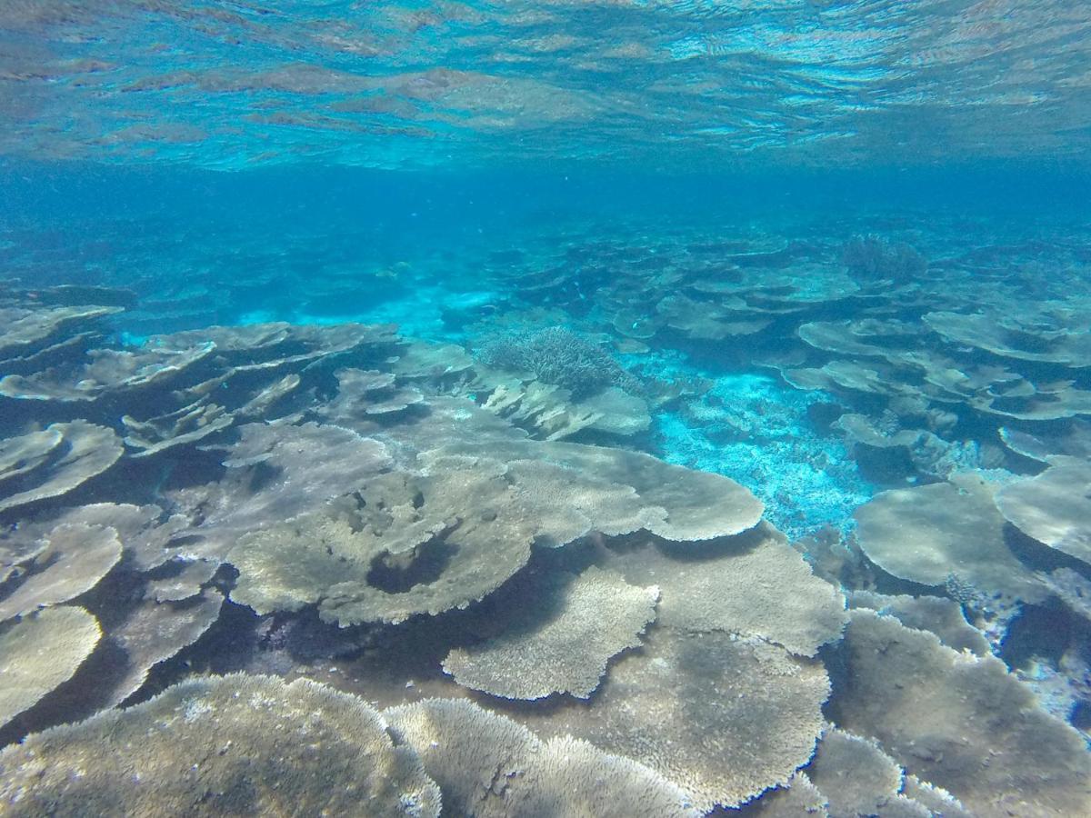 Ukulhas Beach Inn Dış mekan fotoğraf
