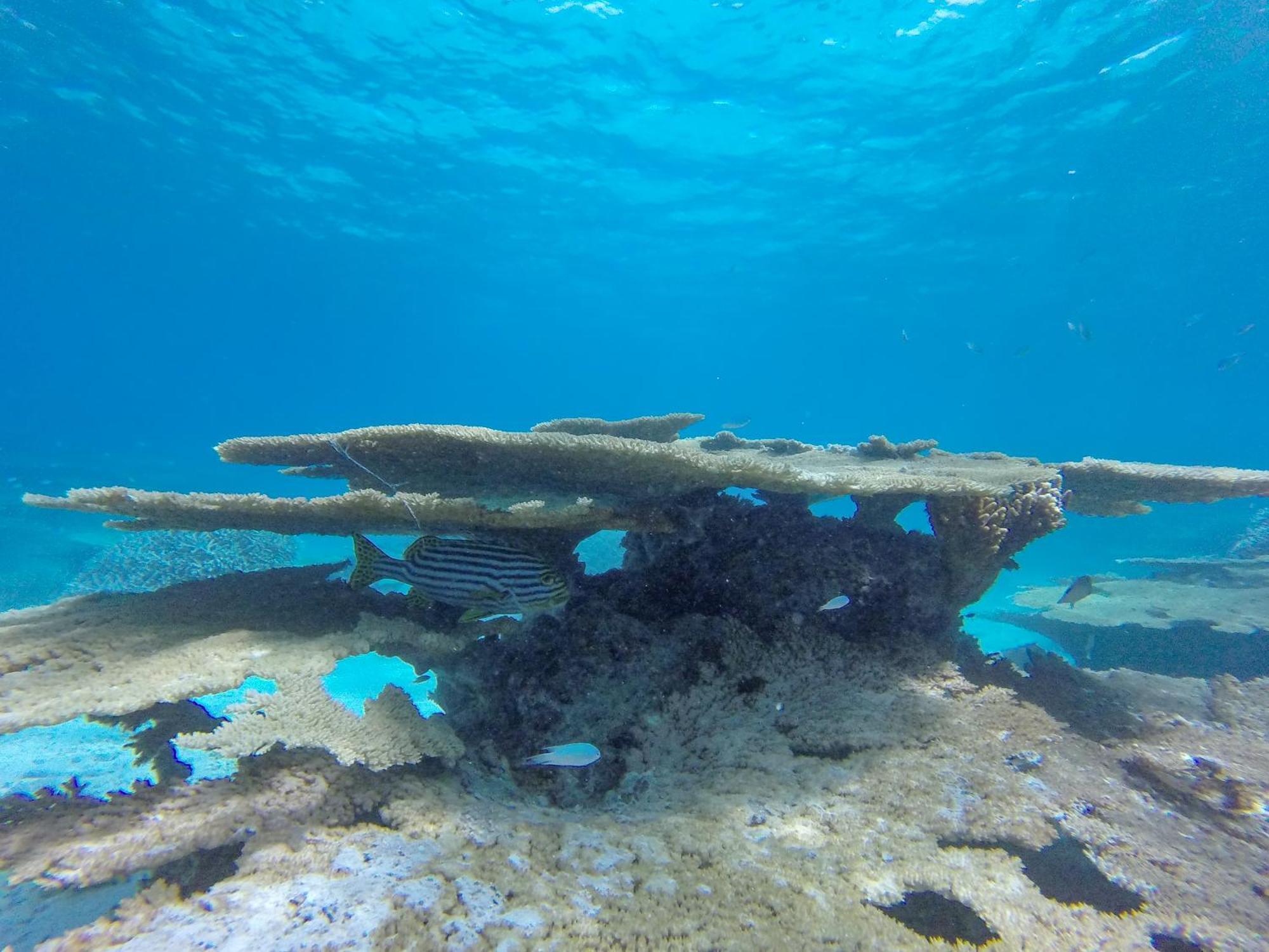 Ukulhas Beach Inn Dış mekan fotoğraf